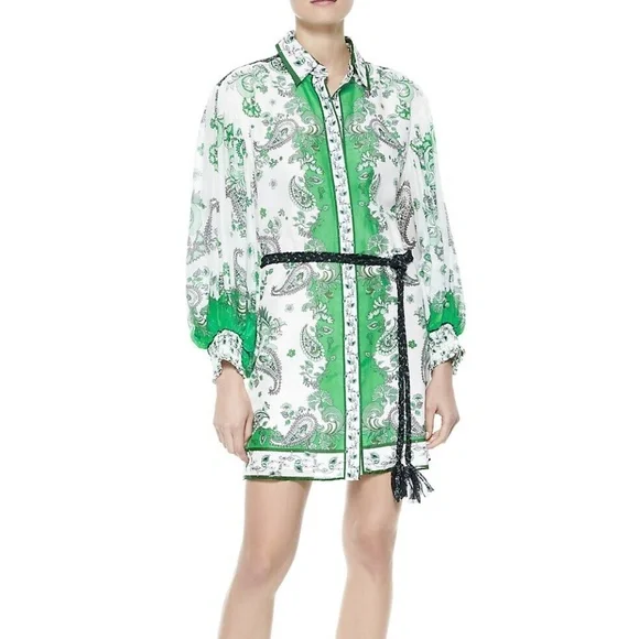 Alice and Olivia Oralia Printed Belted Dress - size 6 - NWT - Picture 5 of 9